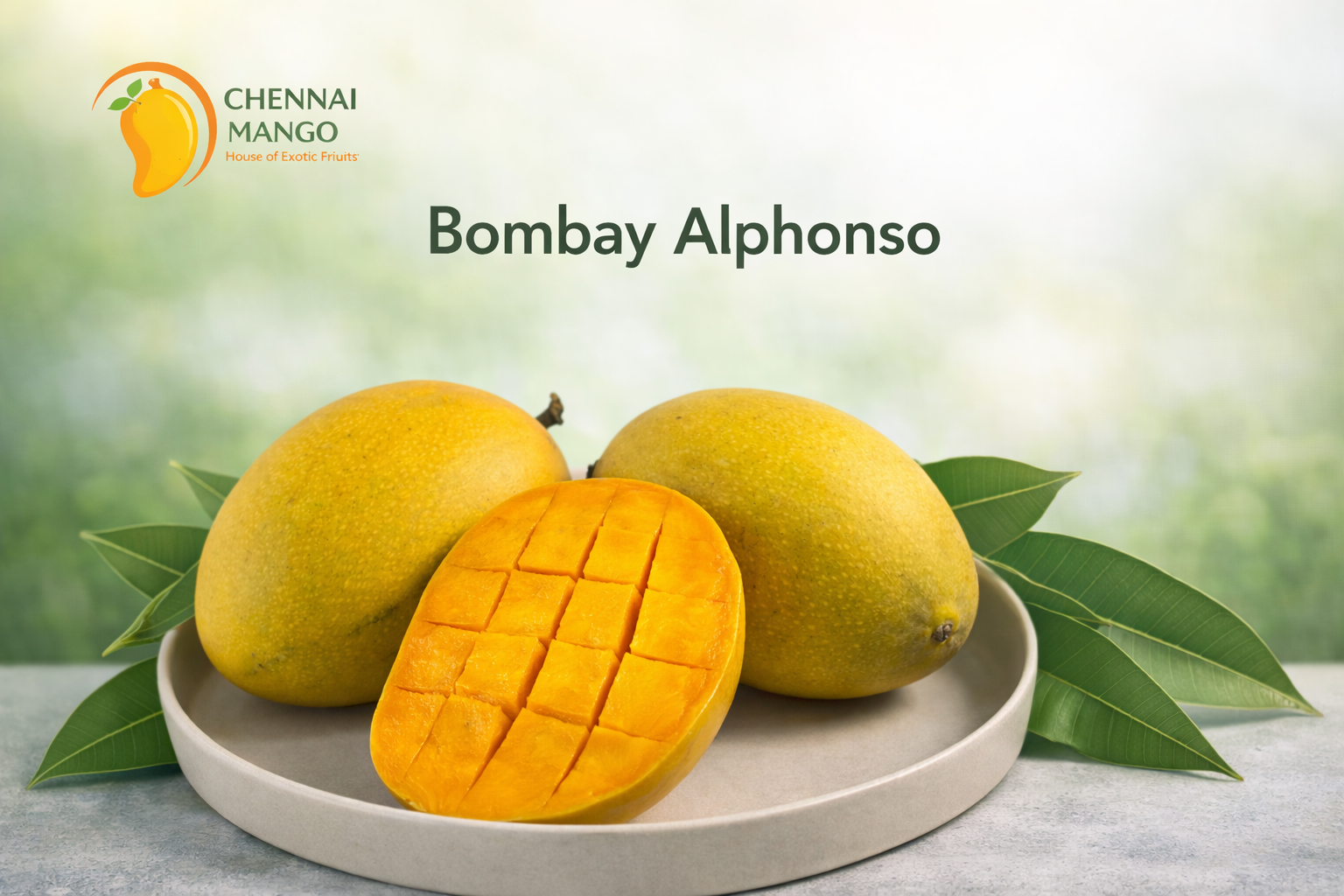 Bombay Alphonso (Hapus) Mango - Chennai Mango