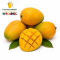 Peethar / Payri / Raspuri / Nedusalai Juice mango