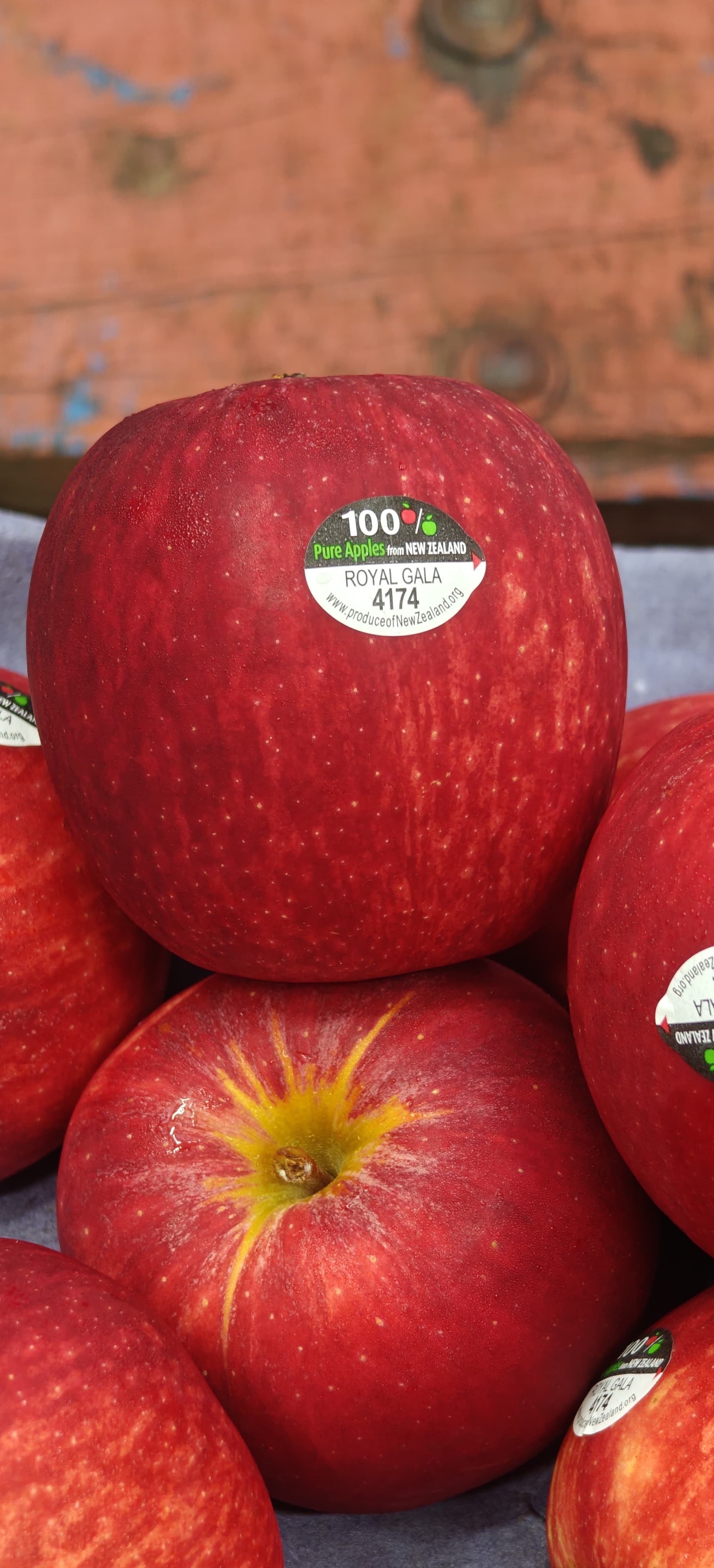 New zealand Royal Gala Apple in chennai