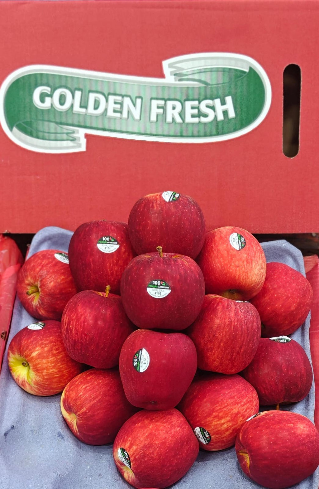 Royal Gala Apple in chennai