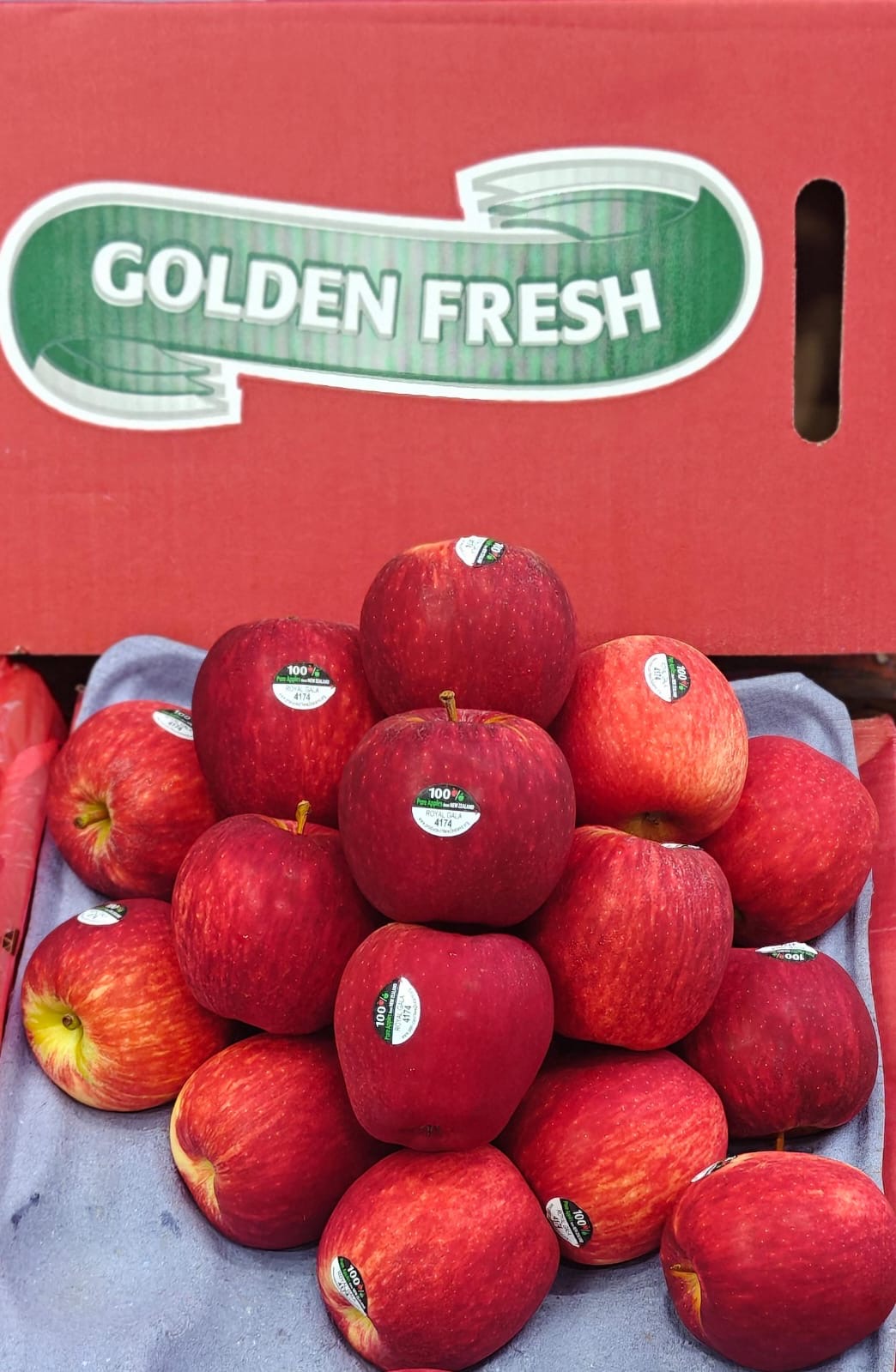 Royal Gala Apple in chennai