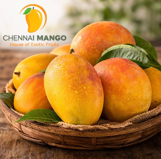 ratnagiri alphonso mango chennai fresh delivery premium quality